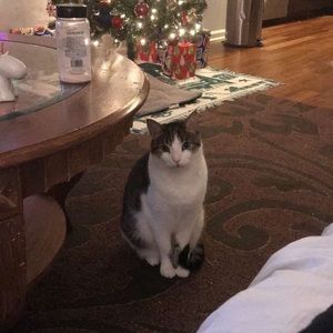 Meet your Posher, Colleen